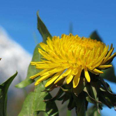 乐鱼官方手机app下载