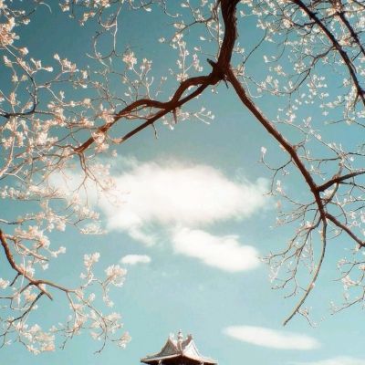 BO半岛综合app安全下载app下载